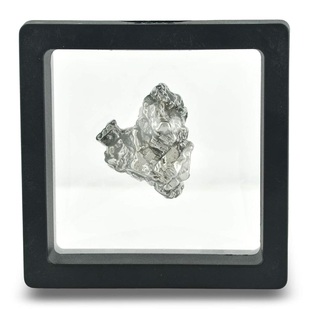 Amazon.com: Genuine Campo Del Cielo 20-30 gram Meteorite